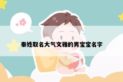 秦姓取名大气文雅的男宝宝名字
